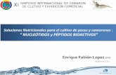 Soluciones Nutricionales para el cultivo de peces y ... · Effects of dietary nucleotides (Nucleoforce Shrimps™) on survival of Litopenaeus vannamei infected with White spot syndrome