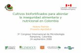 Cultivos biofortificados para abordar la inseguridad ...lac.harvestplus.org/wp-content/uploads/2015/02/cultivos... · Latinoamérica, la biofortificación de arroz, fríjol y maíz