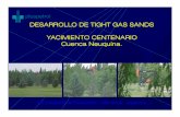 DESARROLLO DE TIGHT GAS SANDS YACIMIENTO … · • Reservorios profundos entre 3000 mts y 4000 mts. • Espesores útiles variables entre 40 mts y 200 mts. ... • Terminaciones