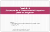 Capitulo 3: Procesos de la Dirección de Proyectos para un ...dis.unal.edu.co/~icasta/GGP/_Ver_2011_2/2011_2_GGP_Clases/GGP_… · proyectos para un proyecto, el nivel típico de