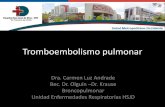 Tromboembolismo pulmonar - hsjd.cl€¦ · Politraumatizado, trauma medula espinal • VM en UPC • Cirugía mayor • Embarazo y puerperio • Enfermedad inflamatoria intestinal