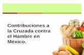 Contribuciones a la Cruzada contra el Hambre en México. · •Reducción de las perdidas postcosecha de los alimentos ... LA CHIA. SEMILLA DE MÉXICO ALTAMENTE NUTRITIVA Y BENEFICA