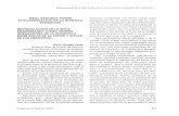 REIVINDICACION DE LA ETICA DE LOS PRINCIPIOS.aebioetica.org/revistas/1998/3/35/475.pdf · M" Elósegui en común en la vida política sin obligarnos a abdicar de nuestras diferencias