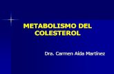 METABOLISMO DEL COLESTEROL - Guía de Bioquímica | Universidad de San Carlos de ... · 2012-07-02 · este proceso las enzimas necesitan estar enclavadas en la membrana del retículo