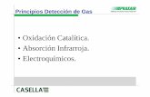 Principios de detecci³n - ucm.es de...  Principios Detecci³n de Gas (Detectores Catal­ticos)