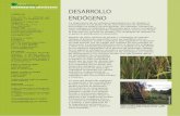 DESARROLLO ENDÓGENO DESARROLLO … 12.pdf · Agricultura de la naturaleza: conocimiento indígena en el cultivo de arroz Entrevista con el Sr. G.K. ... En el mundo de los Ancestros,