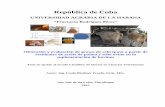 República de Cuba - repositorio.educacionsuperior.gob.ecrepositorio.educacionsuperior.gob.ec/bitstream/28000/2590/1/T... · mSiems/cm Conductividad eléctrica del agua en micro Siemens