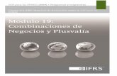 Módulo 19: Combinaciones de Negocios y Plusvalía · 6/19/2016 · La traducción al español del Material de formación sobre la NIIF para las PYMES incluida en esta publicación