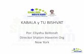 KABALA y TU BISHVAT - shalomhaverim.org y Tu Bishvat.pdf · esto significa que el fruto que floreció antes del 15 de ... (Melodía de Nava Tehila.) ... • En hebreo, la palabra