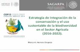 Presentación de PowerPoint - ICLEI Cities Biodiversity …cbc.iclei.org/wp-content/uploads/2017/01/5.-Session-6C... · 2017-01-11 · conservación y el uso sustentable de la misma