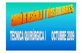 UBICACIÓN Y RELACIONES DEL HÍGADO, VÍAS BILIARES, PANCREASecaths1.s3.amazonaws.com/tecnicasquirurgicas1/Cirugia Vesicula y... · HÍGADO, VÍAS BILIARES, PANCREAS . TRES NIVELES