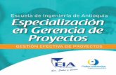 Escuela de Ingenier a de Antioquia Especializaci n en ... · La Gerencia de Proyectos permite administrar, dirigir y coordinar el talento humano, los recursos económicos, los recursos