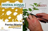 NÚMERO 2 - Bonsai en el mundo Mistral Bonsai - 2 El trabajo real de la formación de un prebonsái - 3 Tillandsias - 11 Jardin Zen - 13 Nuestra librería - 15. 2 ... Los agujeros
