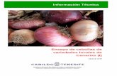 Información Técnica - AgroCabildo ENSAYO... · Caballero se ha empleado como estándar de cebolla de “día intermedio” ya que es una de las más empleadas en la isla en plantación