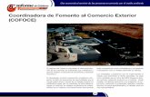 Coordinadora de Fomento al Comercio Exterior …guanajuato.gob.mx/gestiones/romerohicks/sexto/pdf/segundo/cofoce.pdf · resaltan: la industria automotriz y de autopartes, el sec-tor
