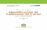 IDENTIFICACIÓN DE LOS CULTIVARES DE CACAO … · La diversidad y variabilidad genética existente en el cacao (Theobroma cacao L), tanto a nivel ... otros métodos de mejoramiento