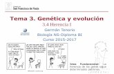 Tema 3. Genética y evolucióndpbiologia.weebly.com/uploads/2/1/5/5/21553524/gtp_t3.genética_y... · herencia de los genes sigue ... recesivos, en tanto que los alelos codominantes