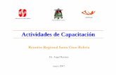 Actividades de Capacitación - CSSR · •Ministerio de Salud y Deportes de la República de Bolivia. •Ministerio de Salud Pública de al República ... • Implementar un Sistema