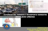 AUTORIDAD DEL TRÁNSITO Y TRANSPORTE …bdigital.binal.ac.pa/bdp/artpma/attttransito.pdf · Secciones transversales típicas del STM Vía Transístmica: Sistema de Transporte Masivo.