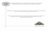 UNIVERSIDAD AUTONOMA DE CHAPINGO DIVISION DE …files.departamento-de-productos-forest.webnode.es/200001678... · PROYECTO DE DESARROLLO FORESTAL INDUSTRIAL MADERABLE. ... 8 Disponibilidad