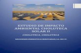 ESTUDIO DE IMPACTO AMBIENTAL CHOLUTECA … · estudio de impacto ambiental choluteca solar ii 2014 1 estudio de impacto ambiental choluteca ... botaderos y bancos de prÉstamo de