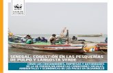 SENEGAL: COGESTIÓN EN LAS PESQUERÍAS DE … · asegurarse de que se incluyan aspectos ambientales ... a una corresponsabilización del sector pesquero en la ... para una gestión