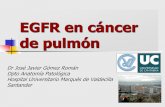 EGFR en cáncer de pulmón - seapcongresos.comseapcongresos.com/2011/SEAP/20_mayo_vienes/1.2/08... · Desde Septiembre a Mayo 8 reuniones sobre EGFR Hay un kit diagnóstico Ese kit