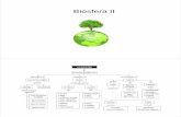 Biosfera II - biobel.files.wordpress.com · El relleu i la litologia condicionen la vegetació. Bioma: La tundra La tundra té valors baixos de biomassa, producció i biodiversitat,