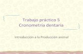 Trabajo práctico 5 Cronometría dentaria · Cronometría dentaria Introducción a la Producción animal. Consigna: Examine las siguientes fotografías y determine la edad aproximada