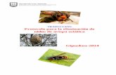 protocolo de actuación. - NEKAGIP · En dichas trampas también se atrapan otros insectos autóctonos y que cumplen su función en la naturaleza, ... Para disminuir la presión que