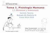 Tema 1. Fisiología Humana - dpbiologia.weebly.comdpbiologia.weebly.com/uploads/2/1/5/5/21553524/gtp_t2.fisiologia... · Sistema endocrino (control del resto de glándulas) (Tiroxina)