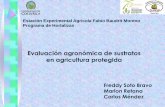Estación Experimental Agricola Fabio Baudrit Moreno Programa … · 2018-08-28 · Programa de Hortalizas ... PIEDRA POMEZ, PIEDRA VOLCAN, ARENA, ... PIEDRA VOLCAN
