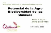 Potencial de la Agro Biodiversidad de las Quinuasquinua.pe/wp-content/uploads/2015/12/Mario-Tapia-ANPE...la-Quinua.pdf · Ayrampo, var. rubescens Quinuas rojas Perigonio rojo a rojo