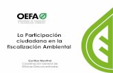 La Participación ciudadana en la fiscalización Ambiental · tratamiento e investigación de las denuncias ambientales. ... Etapas del trámite de las denuncias presentadas en OEFA