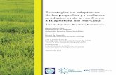 Estrategias de adaptación de los pequeños y medianos ... de... · de rendimientos agrícolas decrecientes causados por condiciones climáticas ... tabla 1). Además, a pesar de