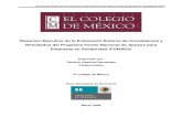 Resumen Ejecutivo de la Evaluación Externa de …economia.gob.mx/files/transparencia/fonaes_eval_2007.pdf · Evaluación Externa del Programa Fondo Nacional de Apoyos para Empresas