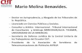 Mario Molina Benavides.€¦ · Mario Molina Benavides. –Doctor en Jurisprudencia, y Abogado de los Tribunales de la República. –Licenciado en Ciencias Públicas y Sociales.