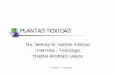 PLANTAS TOXICAS - bvsde.paho.org · Eucalipto Huamanripa Nogal ... Alcaloides tropánicos (Escopolamina)