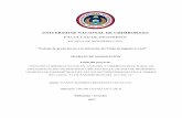 UNIVERSIDAD NACIONAL DE CHIMBORAZO - …dspace.unach.edu.ec/bitstream/51000/3623/1/UNACH-EC-ING-CIVIL-20… · UNA EDIFICACIÓN DE SEIS PISOS UBICADA EN LA CIUDAD DE RIOBAMBA USANDO