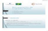 Recuperación de Cojinetes - fricare.com.ar€¦ · Lubricación reducción de la fricción y eliminación del calor. ... 10 %Sn (SAE 40, 64, 66, 791-795, ... velocidad permisible