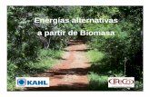 Energías alternativas a partir de Biomasa - …€¦ · • Cuerpos cilíndricos compactados • Diámetro: 6 - 8 mm • Longitud: 8 - 30 mm • Peso específico: aprox. 600 a 700