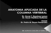 ANATOMIA APLICADA DE LA COLUMNA VERTEBRAL · cuerpos de las vertebras