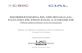 BIORREFINERÍA DE MICROALGAS: ESTUDIO DE PROCESOS A PARTIR DEdigital.csic.es/bitstream/10261/152094/1/refinalgas.pdf · monitorización de productos de valor añadido en la biomasa