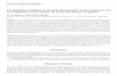 Composición botÆnica de la dieta del guanaco ( Lama ...€¦ · en un Ærea de ecotono bosque-estepa en el sector chileno de Tierra del Fuego y a partir del anÆlisis de contenido