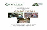 Proyecto COOPFORH “Aumento de los Ingresos para …coopforh.socodevi.org/contenu/wp-content/uploads/2013/08/Informe... · Proyecto COOPFORH “Aumento de los Ingresos para las Cooperativas