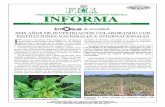 FUNDACIÓN HONDUREÑA DE INVESTIGACIÓN … · mejorada de funguicidas para el control de tizón tardío (Phytophthora infestans) ... ción para el control de coyolillo (Cyperus rotundus).