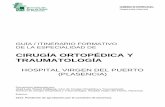 CIRUGÍA ORTOPÉDICA Y TRAUMATOLOGÍA - …areasaludplasencia.es/wasp/pdfs/6/640007.pdf · del ejercicio progresivo de las funciones del Especialista. En el ... prevención y tratamiento