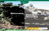 Biomasa Maquinaria agrícola y forestal · Los autocargadores son utilizados para realizar el desembosque de los materiales, ya sean maderables o con destino energético. Generalmente,