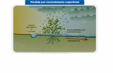 Presentación de PowerPoint - Morfofisiología Vegetalmorfo-fisio-vegetal.yolasite.com/resources/agua en suelo 11.pdf · hidraulica La conductividad hidráulica es el parámetro que