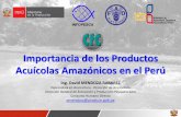 Importancia de los Productos Acuícolas Amazónicos en … paiche/pld1557... · Gamitana, Sábalo cola roja Paiche, Paco, Boquichico, Peces Ornamentales San Martín Gamitana, Paco